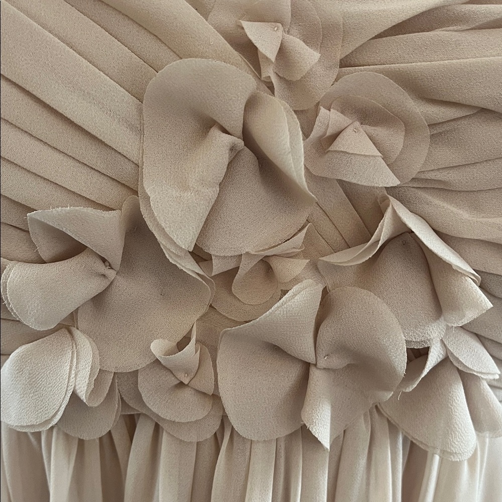 Bill Levkoff Nude/Cream Fit Flare Chiffon Dress w/Pleats & Floral Detail Size 16 - Picture 7 of 16